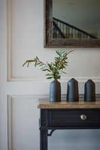 Load image into Gallery viewer, Family of 3 Vase Set