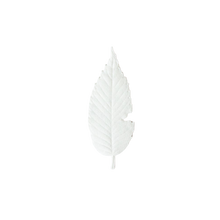 Load image into Gallery viewer, HA KO Paper Incense - Spicy Jasmine