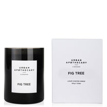 Load image into Gallery viewer, Urban Apothecary Fig Tree Candle