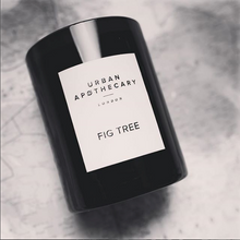 Load image into Gallery viewer, Urban Apothecary Fig Tree Candle
