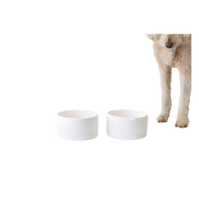 Load image into Gallery viewer, Small Pet Bowl by Tina Frey
