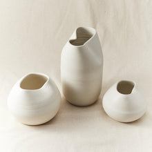 Load image into Gallery viewer, Stella Vase Set of 3

